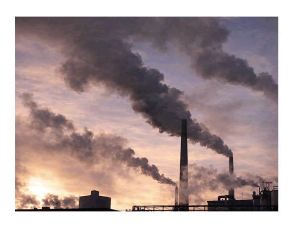 Ger&uuml;che in der N&auml;he von 79227 Schallstadt